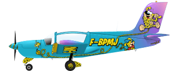 Socata Rallye F-BPMJ peinture par painted bu AEROSTYLL