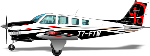 Beechcraft 36 F-GOSF