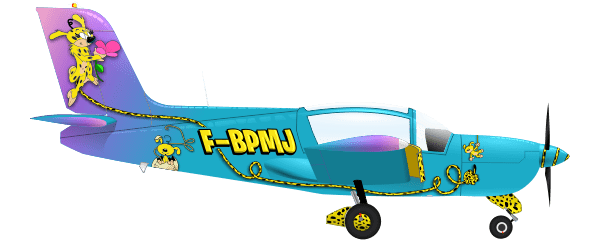 Socata Rallye F-BPMJ peinture par painted bu AEROSTYLL