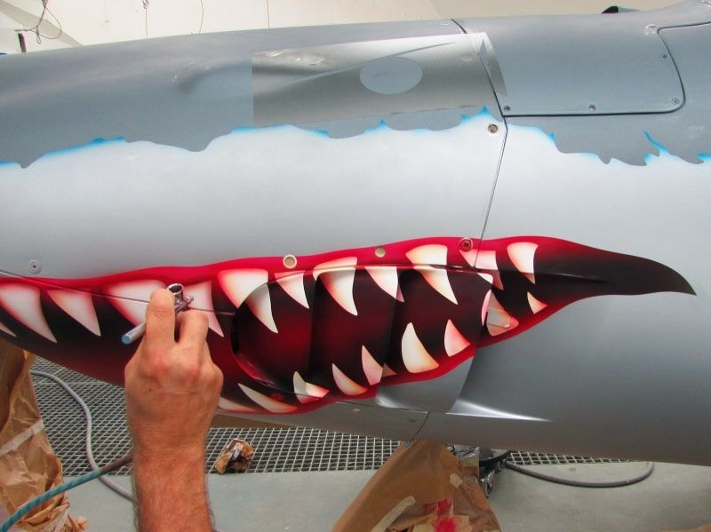 Shark 053 F-JHHO peinture aéronautique par AEROSTYLL