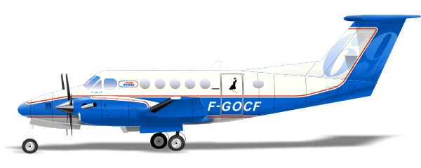 Beechcraft 200 F-GOCF