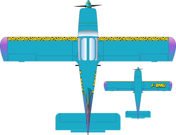 Socata Rallye F-BPMJ peinture par painted bu AEROSTYLL