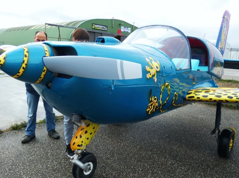 Socata Rallye F-BPMJ peinture par painted bu AEROSTYLL