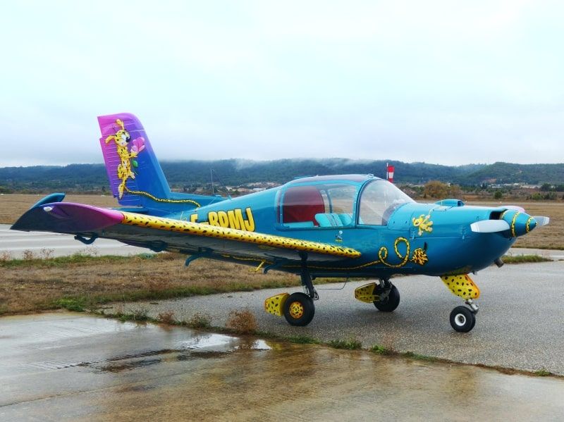 Socata Rallye F-BPMJ peinture par painted bu AEROSTYLL